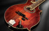 L.R. BAGGS RADIUS MANDOLIN PICKUPS